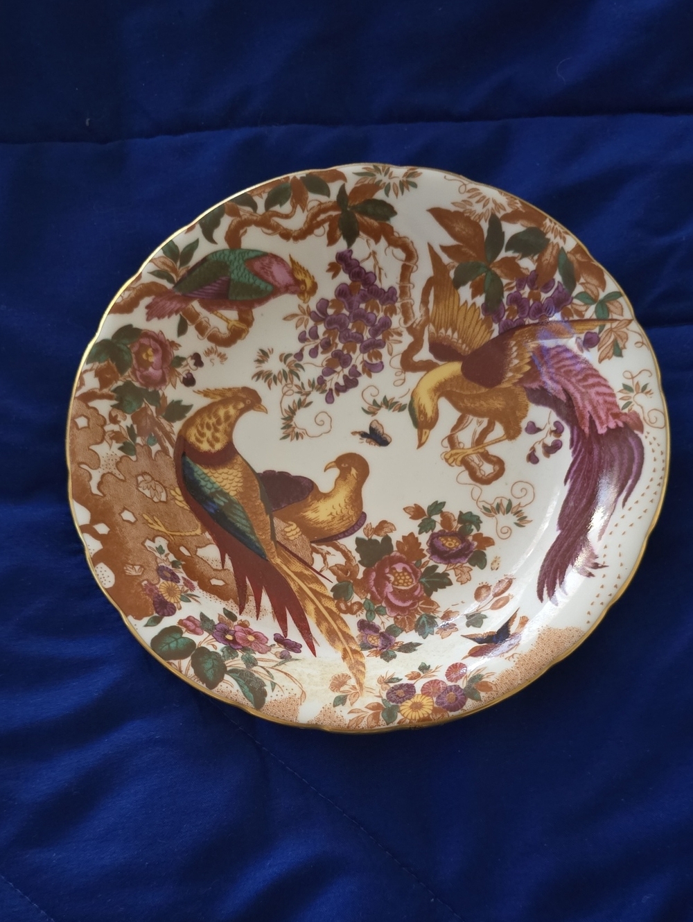 Royal Crown Derby Decorative Plate with Gold, Purple, Green and Pink Bird Motif
